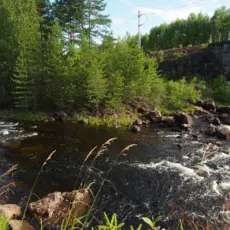 Tveiteelva i Kragerøvassdraget