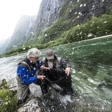Laks i Nærøydalselva
