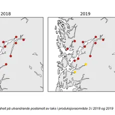 Estimert dødelegheit på utvandrande postsmolt av laks i produksjonsområde 3 i 2018 og 2019