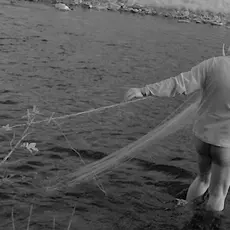 Det har foregått et omfattede rovfiske i Storelva