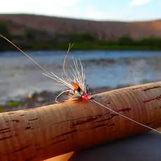 Kongsfjordelva kveldsfiske