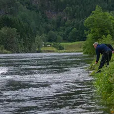 Fast fisk i Bolstadelva!