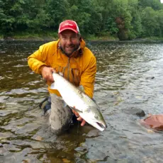 Laks fra Stjørdalselva