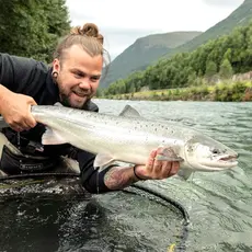En flott nygått Strynelaks. 