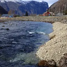 Masseutlegg i Aurlandselva