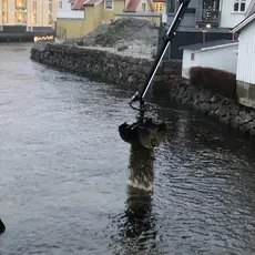 Utlegging av Gytegrus