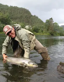 Gjenutsetting av laks