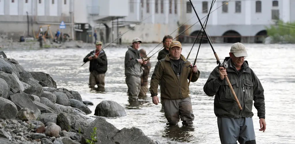 Fiskekø i Drammenselva