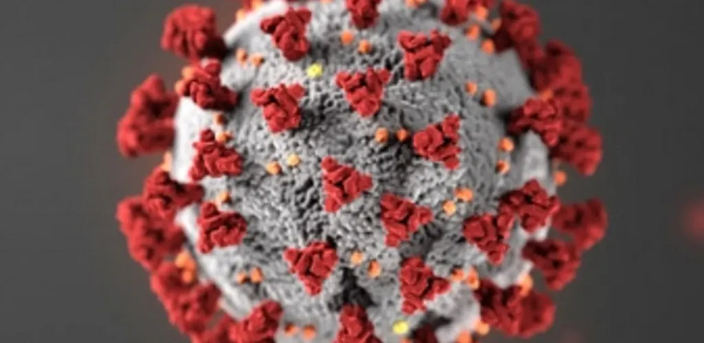 målselva laksefiske