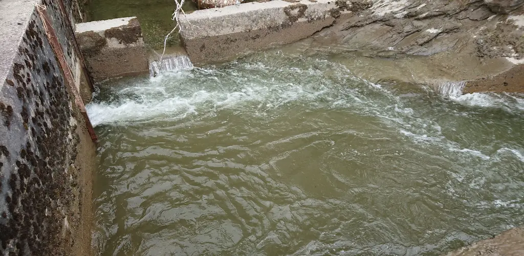 Målselva laksetrapp