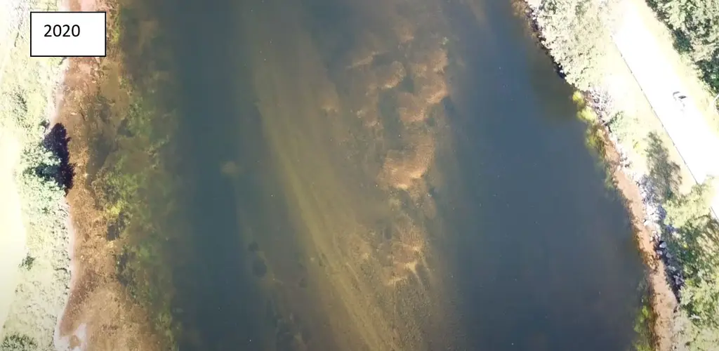 Gytegroper Øvre Strai 2020