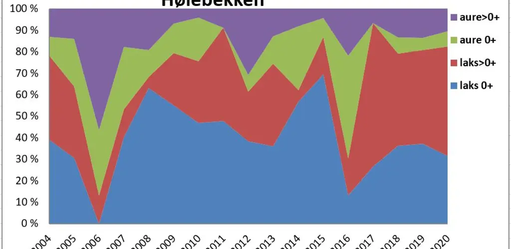 Høiebekken er den klart viktigste sidebekken i Otra, ca 80% laks.
