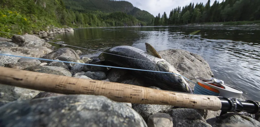 Namsen_ Hans Kristian Krogh-Hanssen_DSC8771.jpg