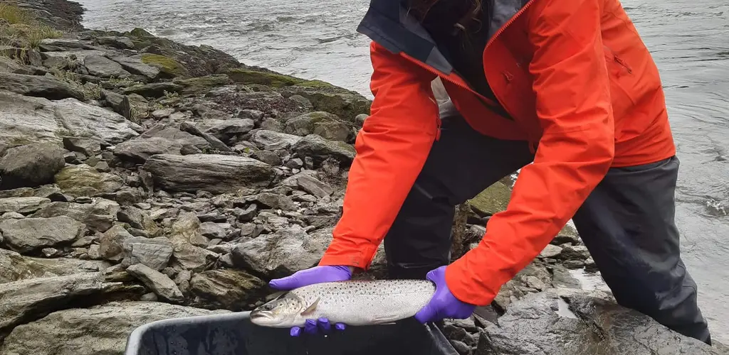 Miljøundersøkelser 2021