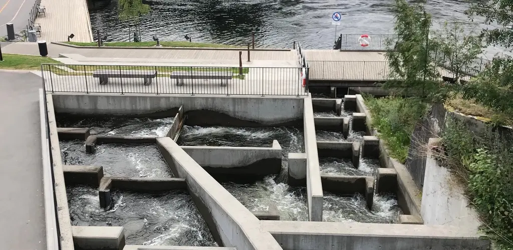 Skienselva_laksetrapp.jpg