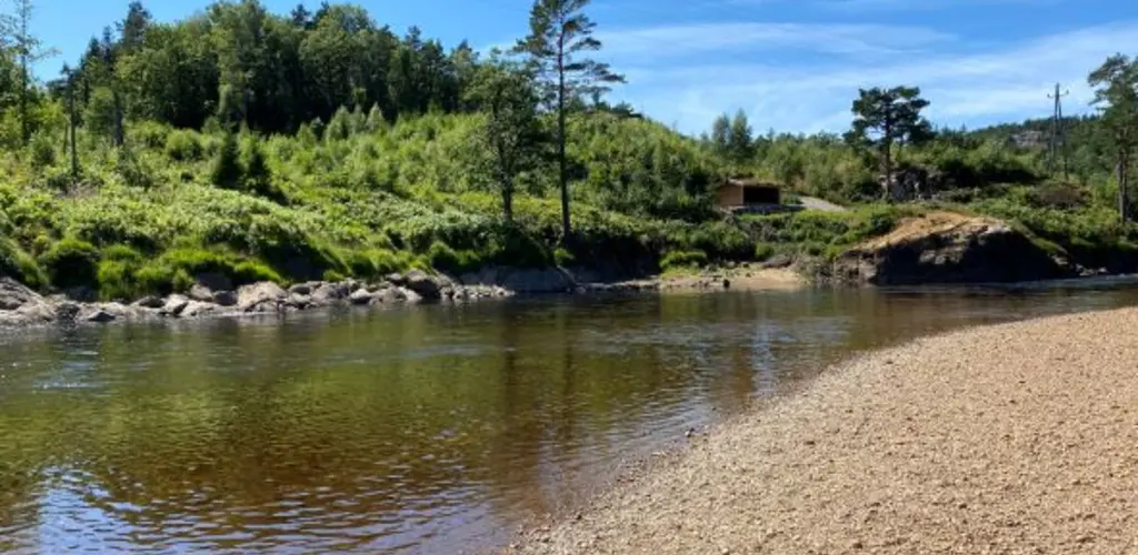 Bringsdal og Fuskeland