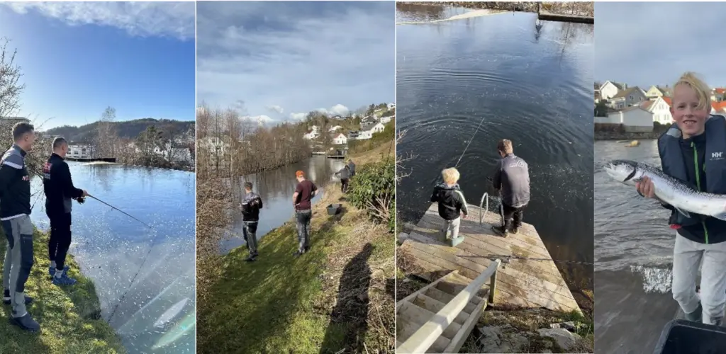 Utvisking av stuinger