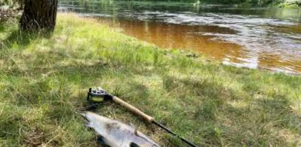 Mandalselva midtsesongevaluering 2023