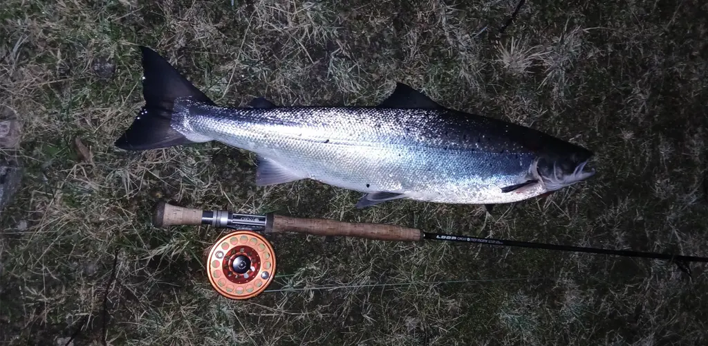 Årets første i Stordalselva