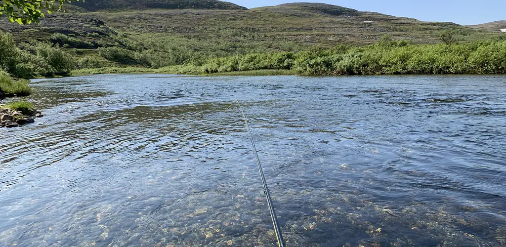 Kongsfjordelva Stilla