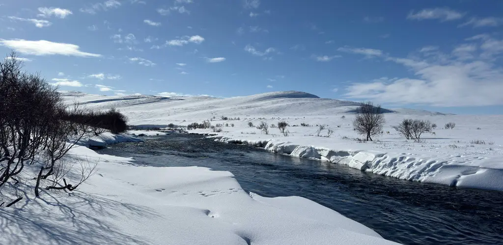Kongsfjordelva i Vinterdrakt