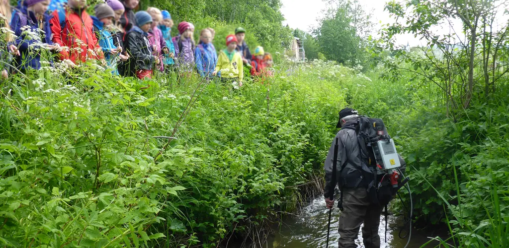 El-fiske i bekk på Hegra