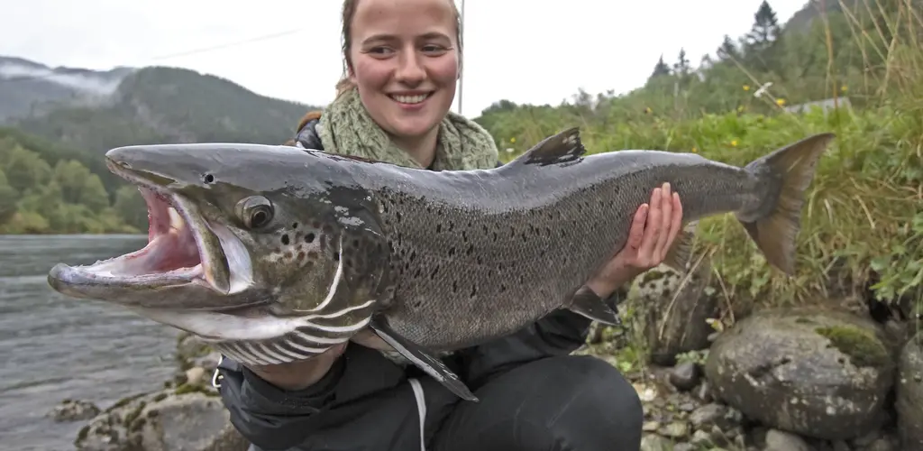 Jente med laks fra Bolstadelva. Jente med laks.