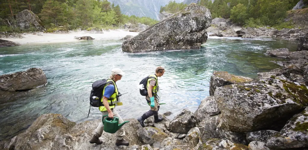 Behandling mot Gyrodactylus salaris med Rotenon Behandling mot Gyrodactylus salaris med Rotenon
