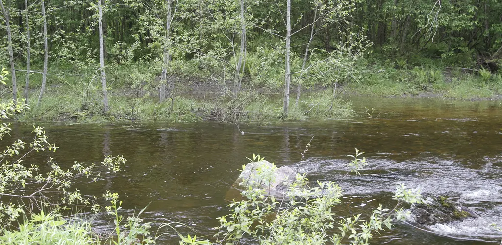 Stjørdalselva Stjørdalselva