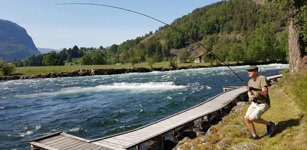 Salmon! at Aaroy River