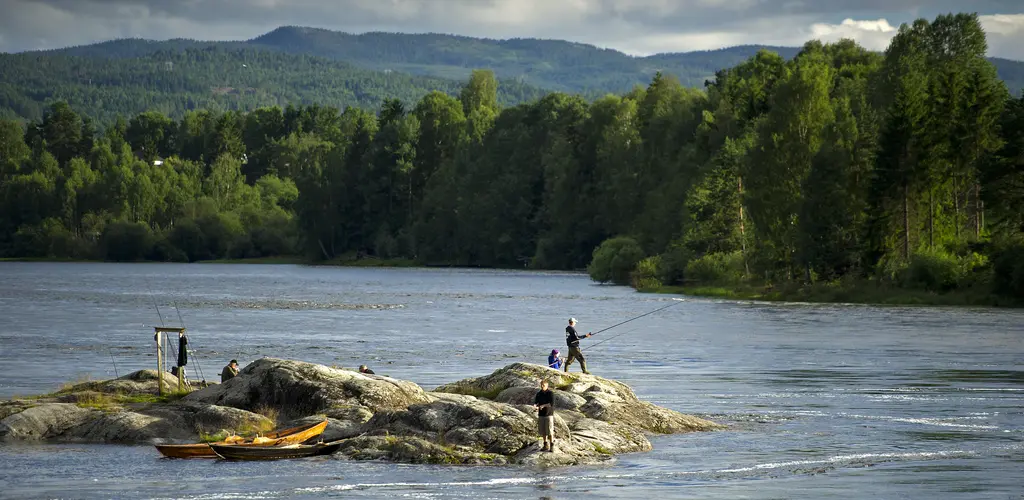 Landskjæret Drammenselva Landskjæret Drammenselva