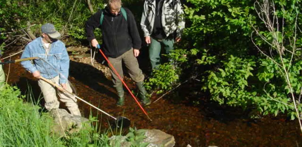 El fiske i landsbekken, 