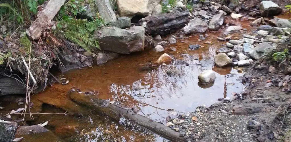 Avrenning fra jordbruk. Avrenning fra jordbruk.