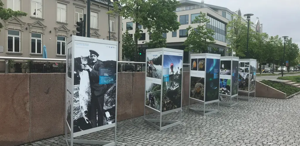 Fotoutstilling om laksen