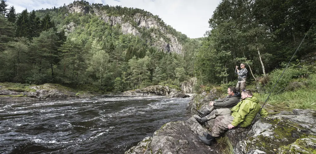 Fast fisk i Lygna Fast fisk i Lygna