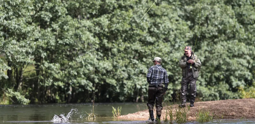 Laksefiske i Audna Laksefiske i Audna