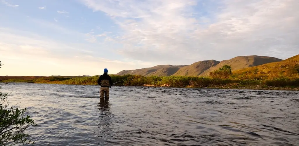 Kongsfjrdelva, rettigheter