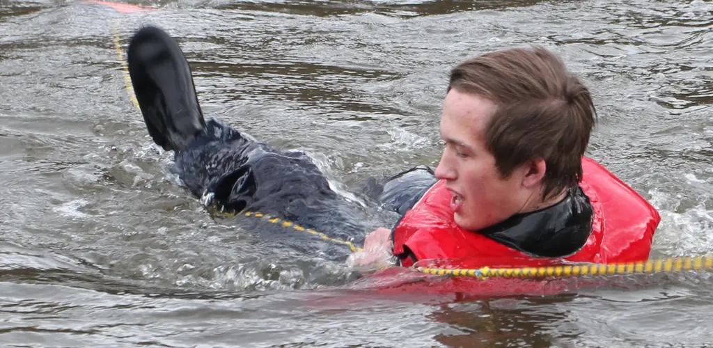 Vannredning Vannredning