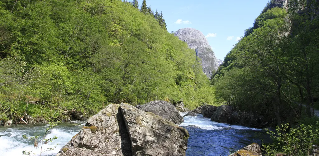 Nærøydalselva ved Stalheimskleivene Nærøydalselva ved Stalheimskleivene
