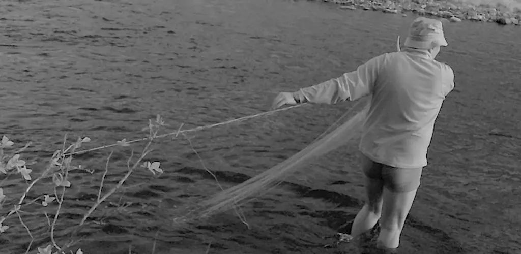 Ulovlig garnfiske i elva Det har foregått et omfattede rovfiske i Storelva