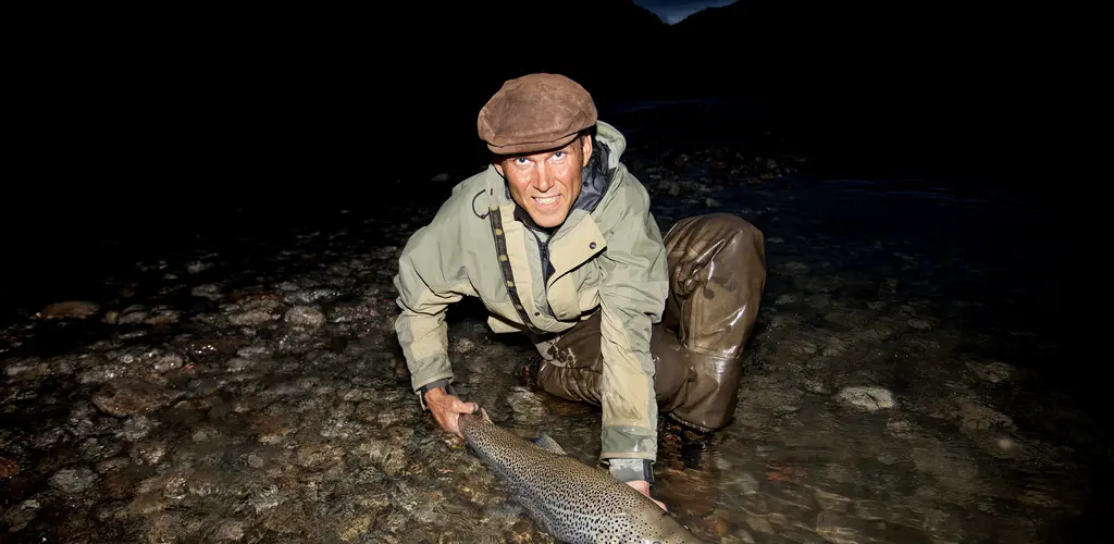 Sjøørret Sjøøørret