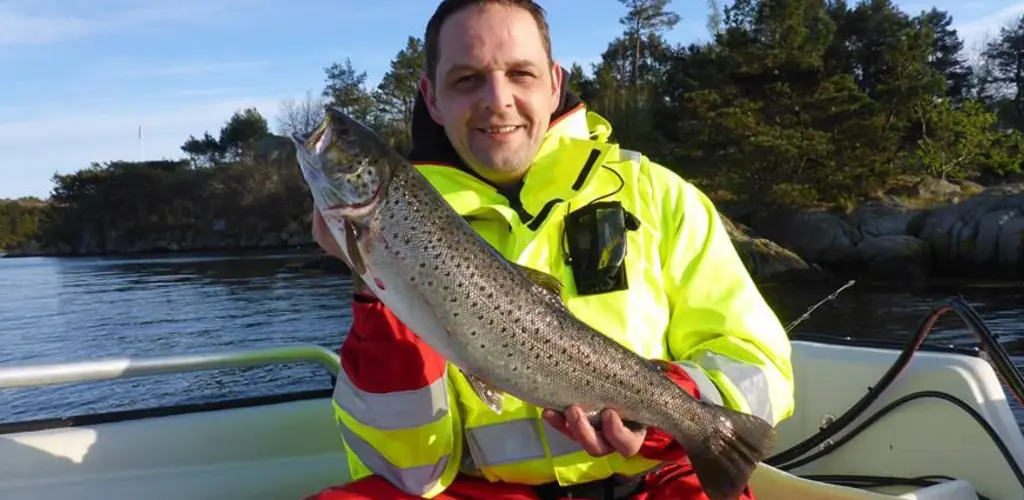 Sjøørretfisker. Sjøørret.