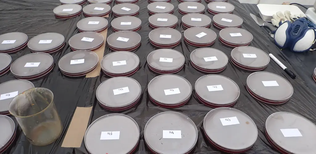 Rotenon i såpe Rotenon i såpe