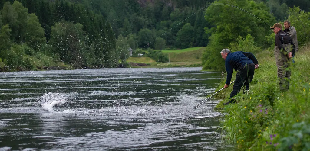 Fast fisk i Bolstadelva!