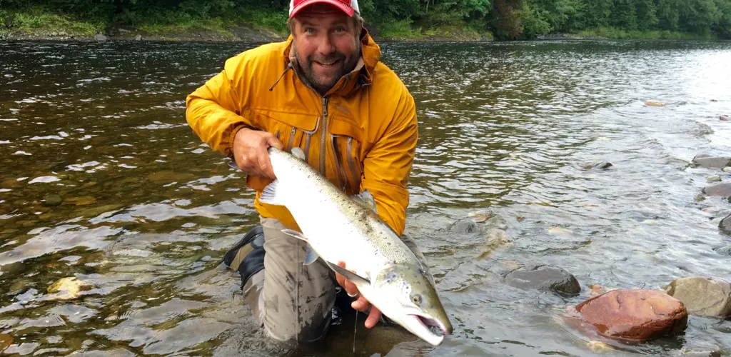 Laks fra Stjørdalselva Laks fra Stjørdalselva