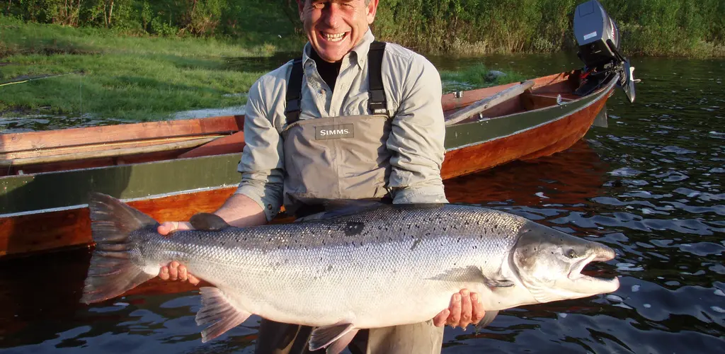 Strolaks fra Vina Storlaks fra Vina