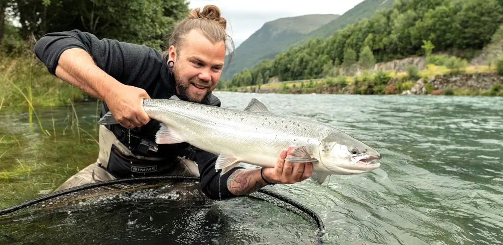 En flott nygått Strynelaks. En flott nygått Strynelaks.