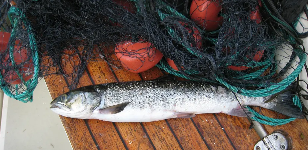 Ulovelig garn Ulovelig garn