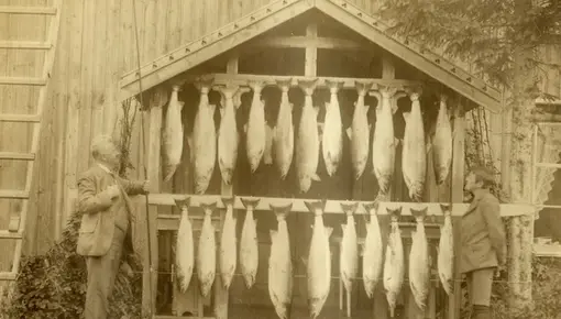 Røssåga_Korgen camping storlaks