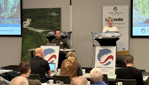 Ragnhild Brennslett på talerstolen under landsmøtet i Norske Lakseelver